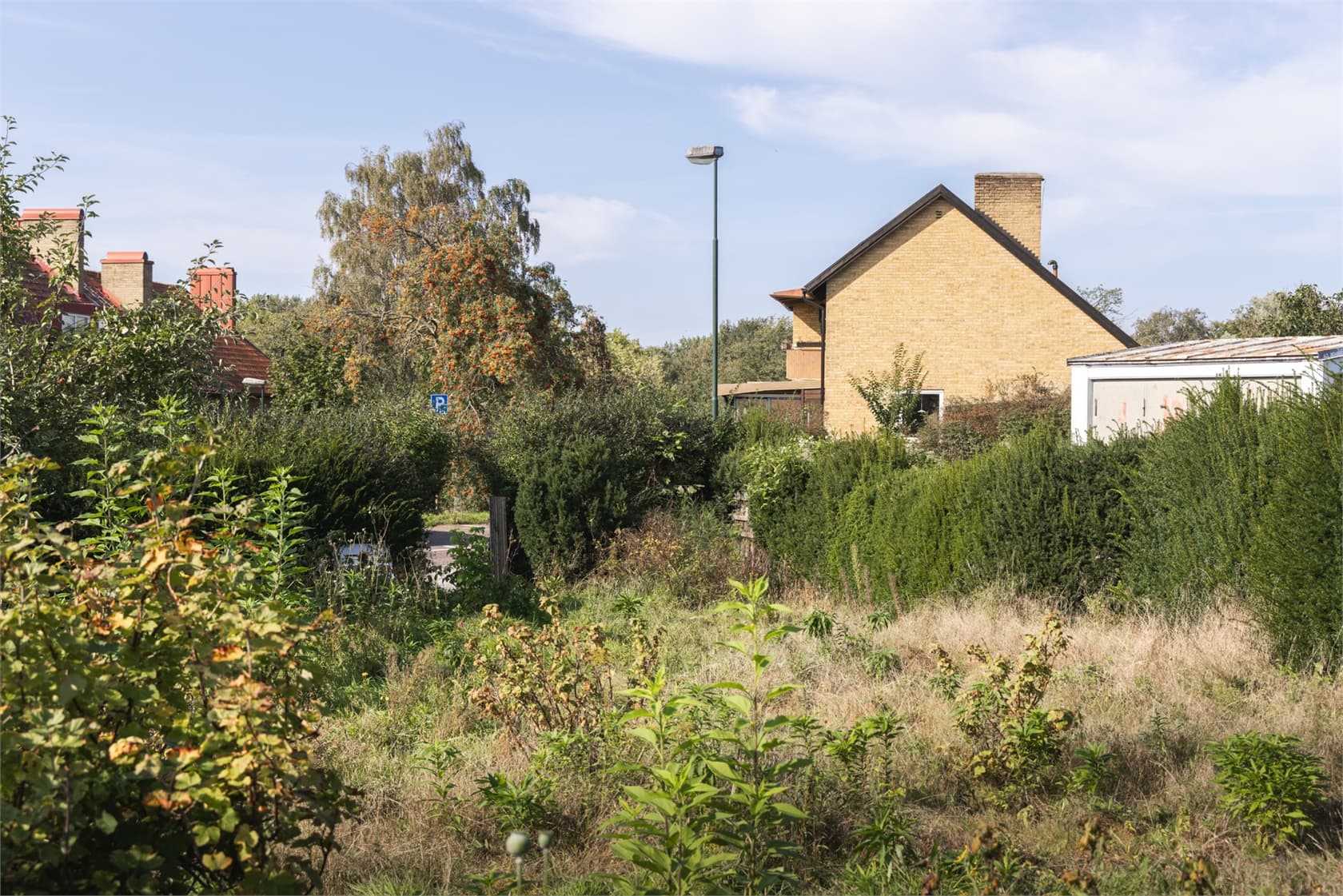 Property