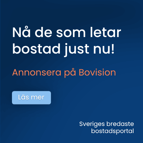 Bovision